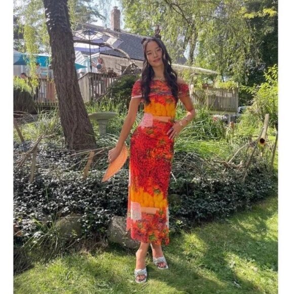 Zara Picante All Over Print Over The Shoulder Tulle Dress M - Picture 4 of 14